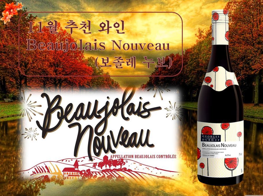 11월 와인 신문