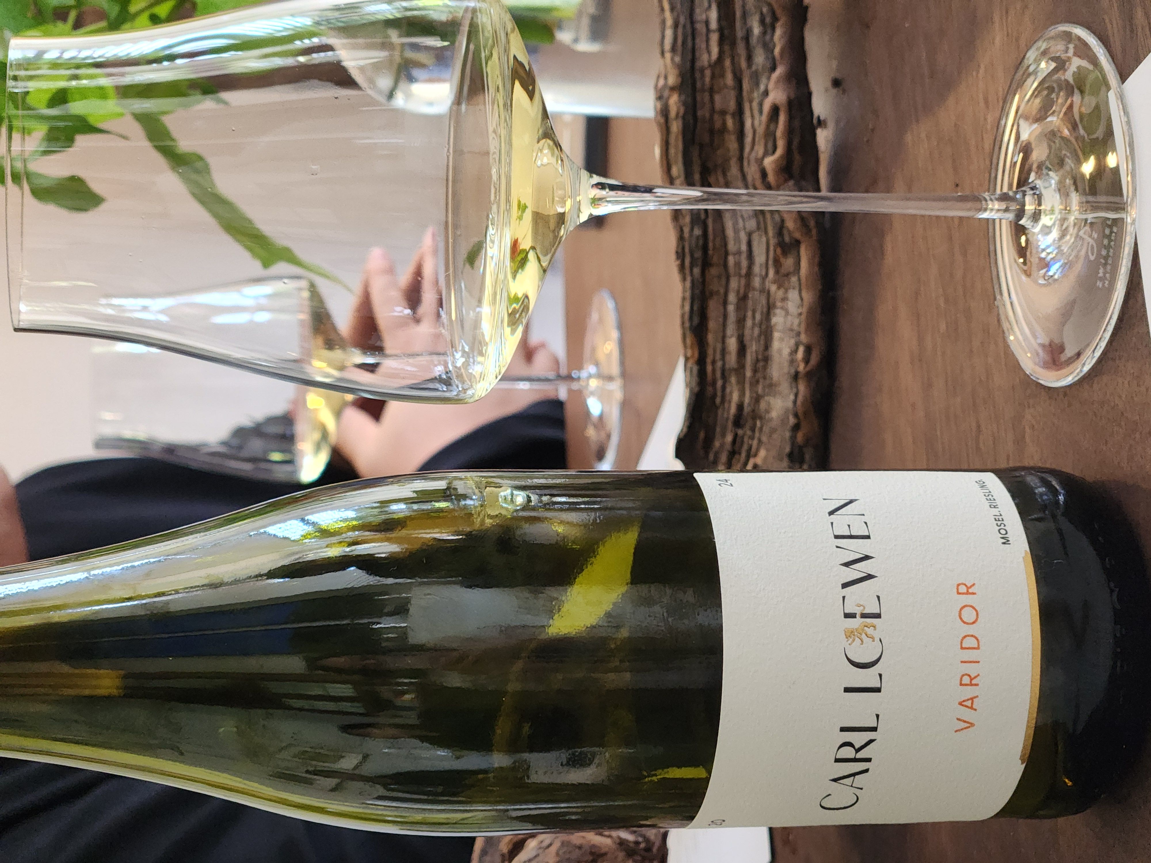 독일연수단 소식 7. Carl Loewen 와이너리 현장학습_2